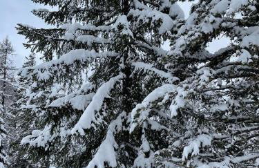 Cortina Center Design Apartment with Private Parking - Foto 43