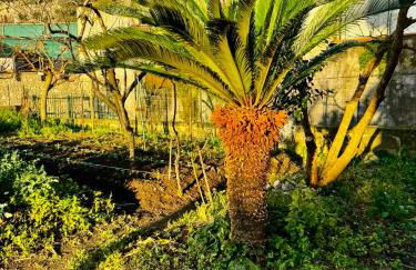 Home & Garden - Foto 56