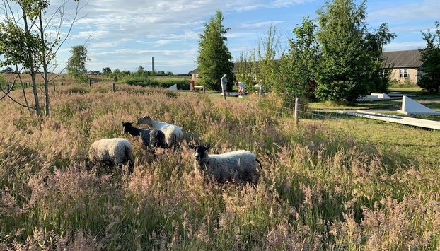 5 Person Holiday Home in Ronne - Foto 5, Baño