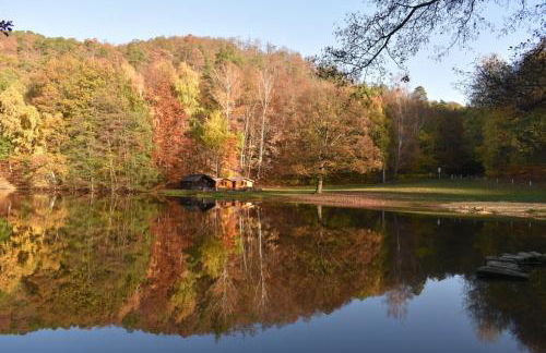 Ferienwohnung "Harzliebe" - Foto 27