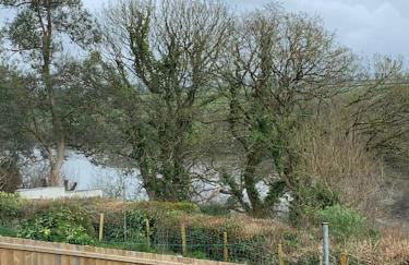 Bryndegwel in Saint Dogmaels, cardigan- river views, Free parking - Foto 12