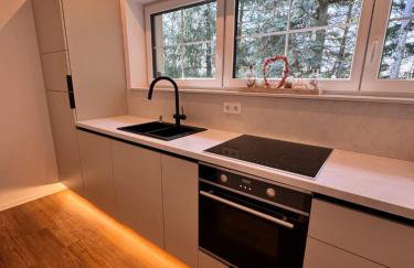 LifeStyle Apartments am Steinsberg, Self Check In, Terrasse, Burg Blick - Photo 24