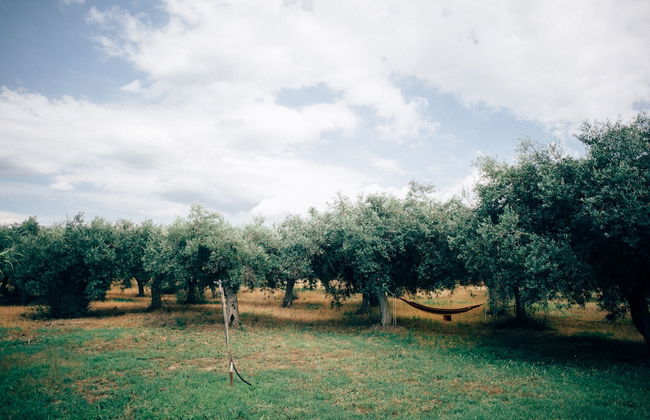 Su Leunaxiu - Foto 63