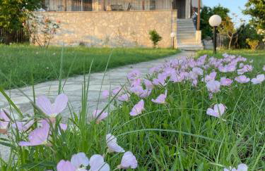 Carefree Dreams : Cottage in Flogita Chalkidiki - Foto 30