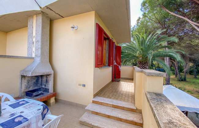 Pineforest - Foto 21