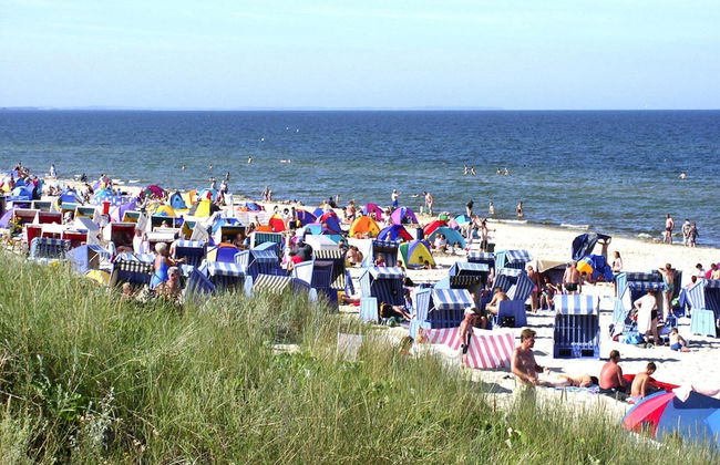 Ferienhaus Kranichnest, Zirchow - Foto 20