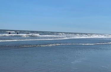 Southern Serenity Minutes From The Interstate - Foto 28