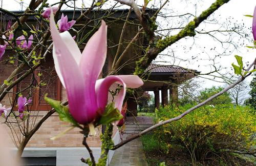 Agriturismo i Quercioli - Photo 40