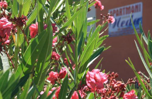 Apartments Neda - Photo 1