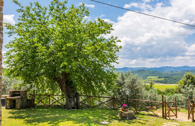 La Querciolaia - Foto 48