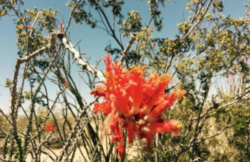 Mayfair House - 4 Minutes to National Park! - Foto 2