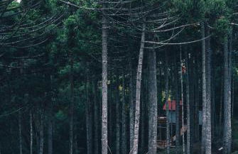 Cambará Ecomoradas - Foto 35