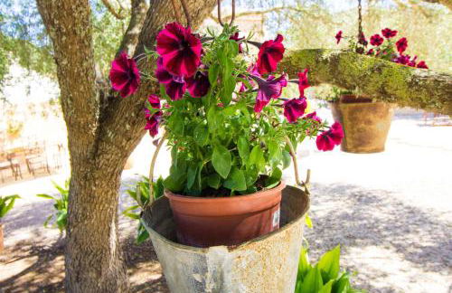 Preciosa Finca rustica con A/C y piscina exclusiva - Foto 27