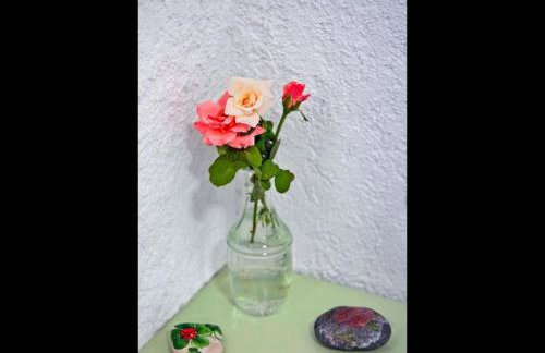 Apartments With Garden View, Creta, Ierapetra - Foto 159