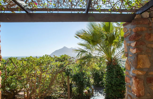 African Violet Guest Suites - Foto 36