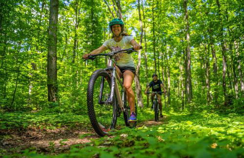 Boyne Mountain Disciples Village Unit 660 - Foto 36