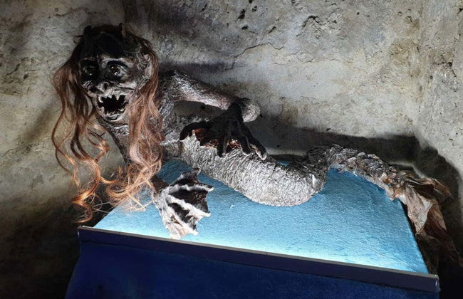 Billet pour le Château enchanté de Trigueros del Valle - Photo 12