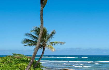 Hanalei Colony Resort I-2 - Foto 61