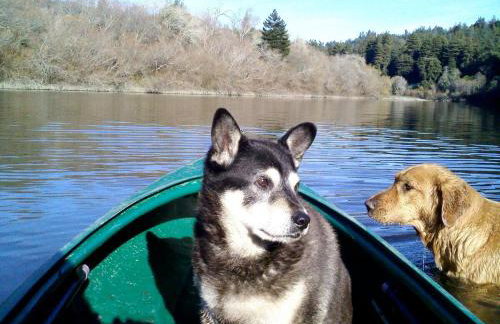 Sweet Creek - Photo 52