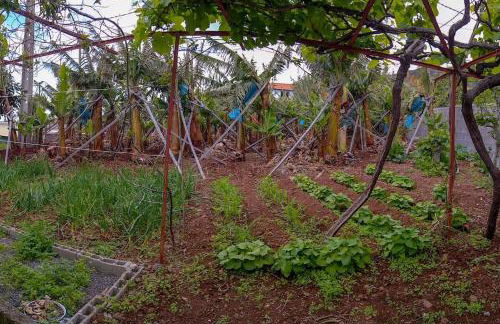 Typical Farm Apartment - Foto 8