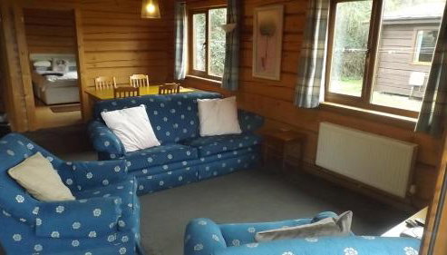 Hand built log cabin at Avonvale Holiday Lodges - Foto 5, heating