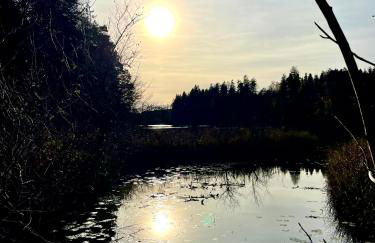 Ferienwohnung Schmied von Almertsham - Foto 47