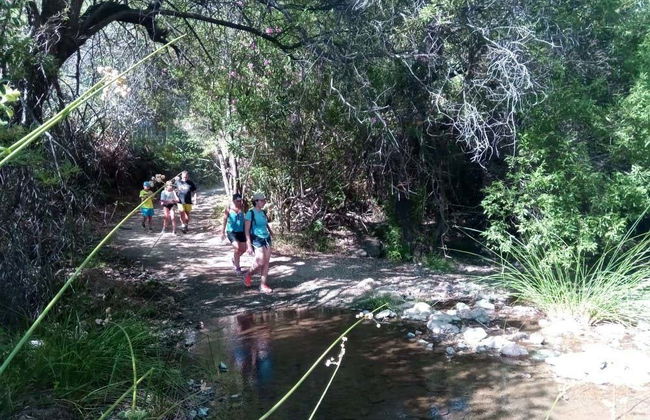 Senderismo por el Parque Nacional Sierra de las Nieves - Foto 6