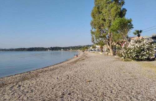 Studios Pantelis Corfu - Adults Only - Foto 34