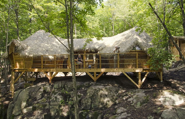 Parc Omega - Foto 60