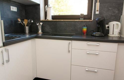 Ferienwohnung direkt am Rhein in Neuwied bei Koblenz - Foto 11