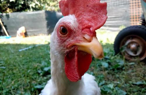 Cottoni Natural Space - Foto 27