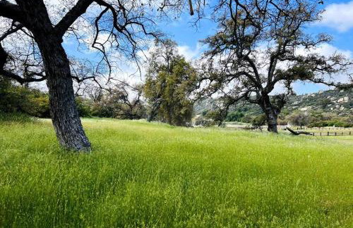 Getaway Retreat Close to Temecula San Diego LA - Foto 29