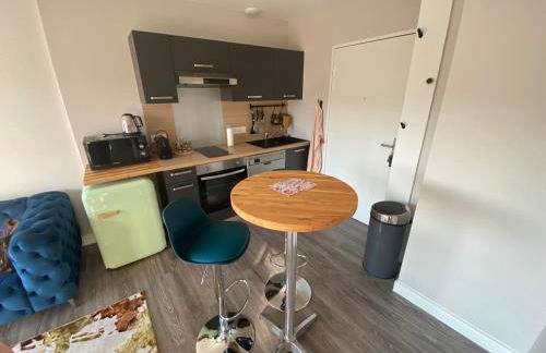 Appart T2 avec parking, loggia, vue Puy de Dôme - Foto 9