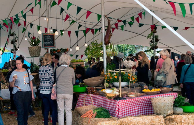 Experiencia en los Mercados Gastronómicos de Ciudad del Cabo - Foto 2