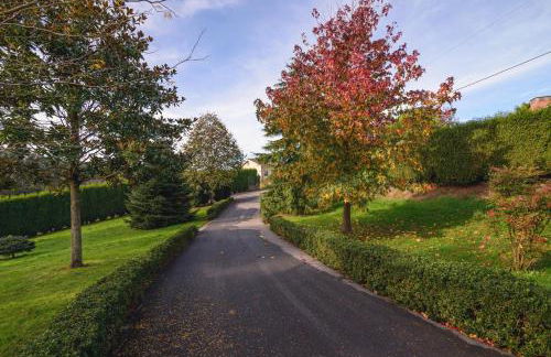 La Casina de Punticiella - Foto 10