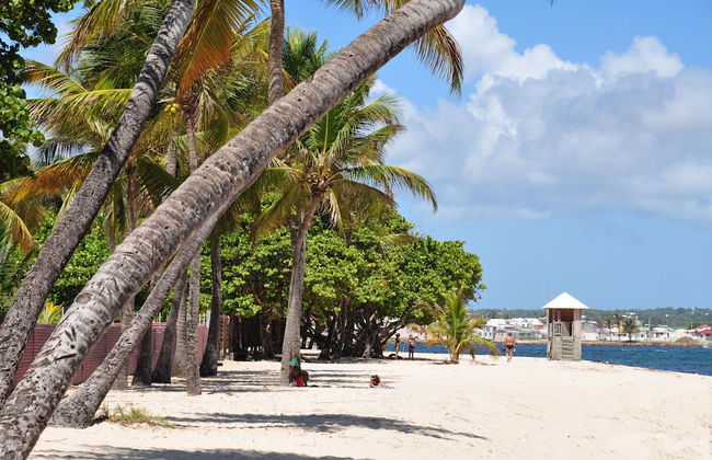 Résidence Tropicale - Photo 42