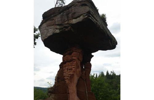 Palatinate Forest Comfortable holiday residence - Foto 20