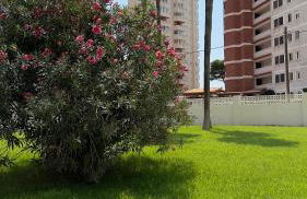 Atlantico Flamingo - Photo 33