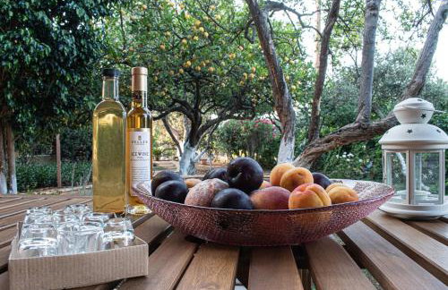 glarosmaisonette - Foto 26