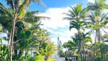 House of Aloha - Foto 3