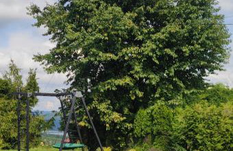 Na Górce 13 - Photo 14