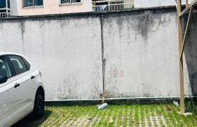 Apartamento próximidades do Estádio Olímpico - Foto 25