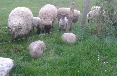 Best of Kollmar - Apartment mit Terrasse für 2 Personen absolut ruhig - Foto 21