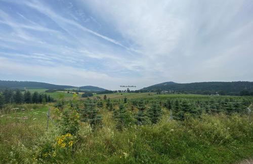 Waldhaus Kustelberg - Foto 16