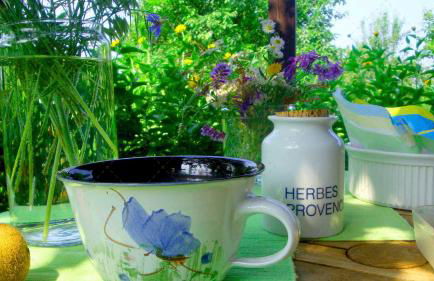 JANISCHs Fewo im Spreewald, Terrasse, großer Garten und Blick inklusive - Foto 7