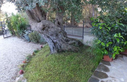 Casetta Clementina - Foto 34