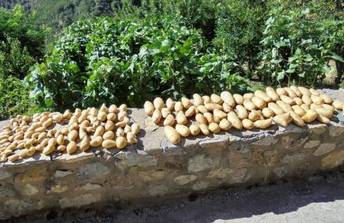 Periklis Guesthouse Anavriti. - Foto 32