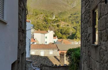 Casa Encantada - Alvoco da Serra - Foto 20