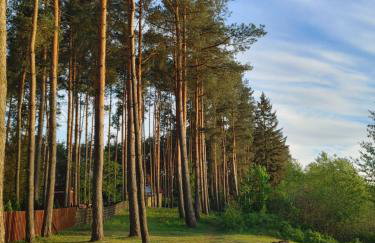 Domek w Borach Tucholskich - Wycinki - Foto 47