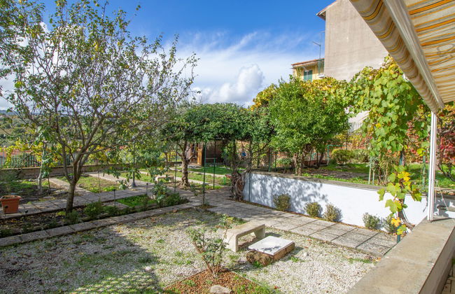 Kiwi e L'uva - Tuscia - Foto 4